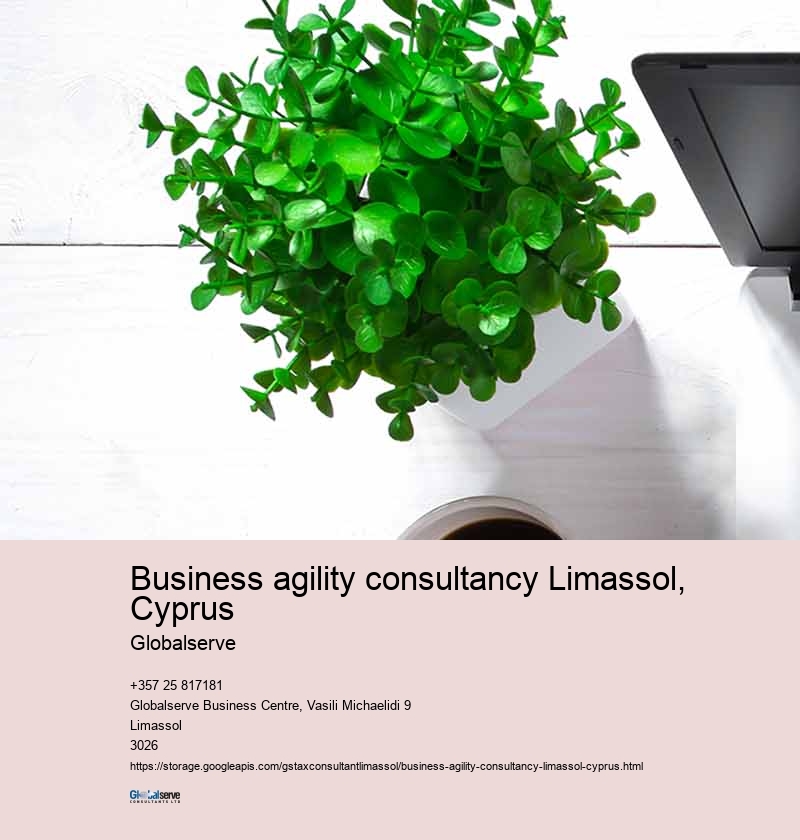 Introduction to Business Agility Consultancy Limassol, Cyprus
