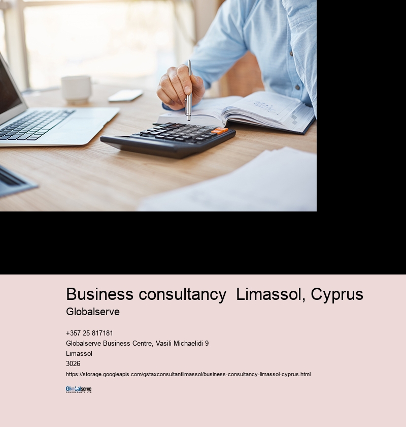 Introduction to Business Consultancy in Limassol, Cyprus