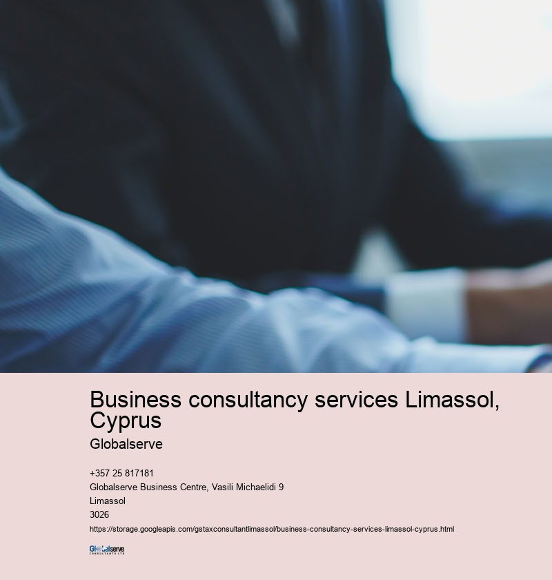 Introduction to Business Consultancy Services in Limassol, Cyprus